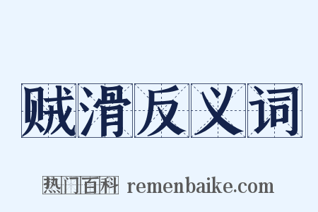 贼滑反义词是什么意思的图片